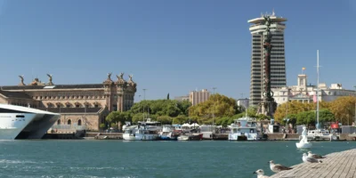 Барселона: отравленное Средиземное море — мелкопятнистая кошачья акула имеет высокий уровень ртути