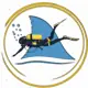 Логотип Dive in Adventure Tours