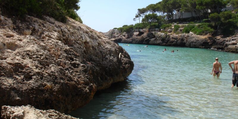 Тревога из-за акулы на пляже Баллерман, Майорка