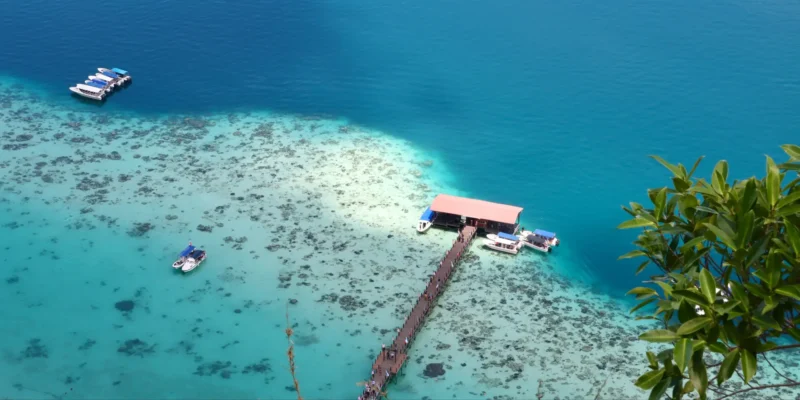 Запрет на траление в Кудат для защиты акул и скатов