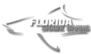 Логотип Florida Shark Diving
